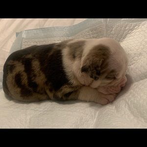 Meet your Posher, Kindle